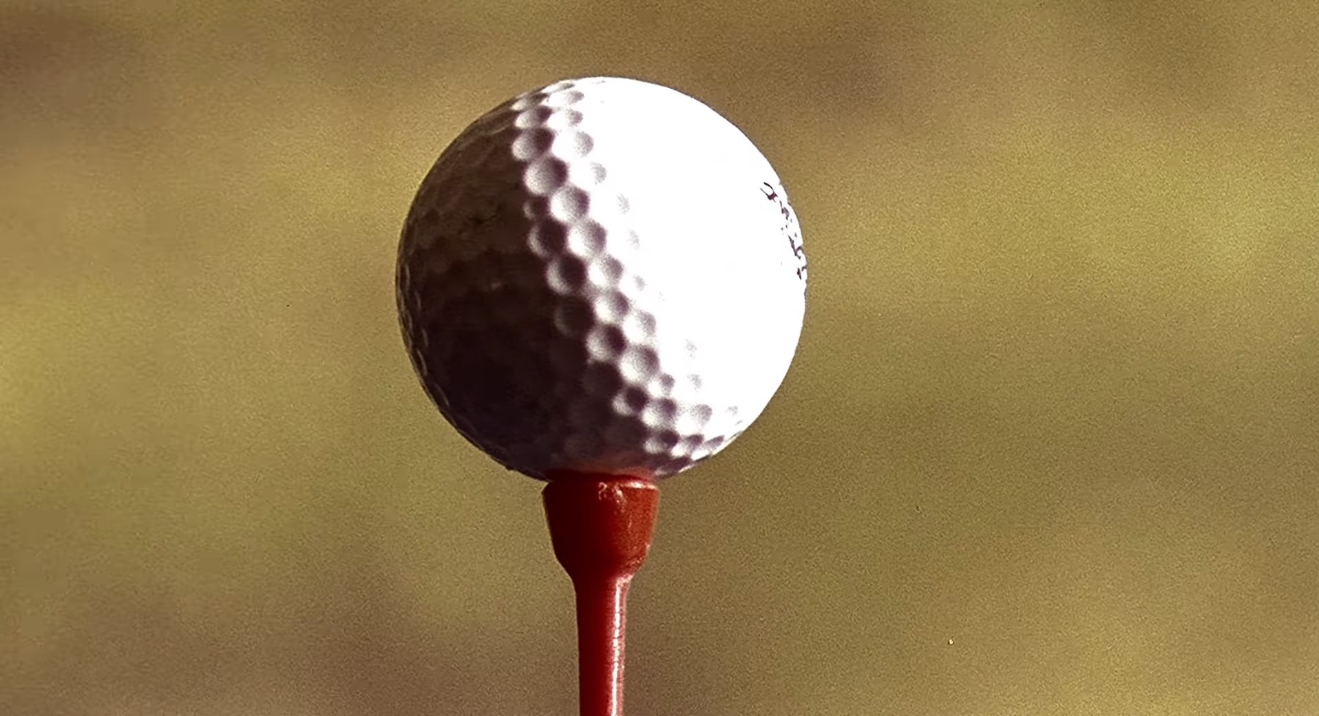 Гольф — лучший способ испортить хорошую прогулку. Это сказал Уинстон Черчилль. А я говорю — в этом мире выживает сильнейший.