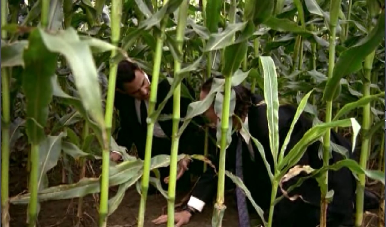 Абдул Хэнк (бельгиец) — Знал бы, освоил другую профессию.
— А этой ты учился в институте?