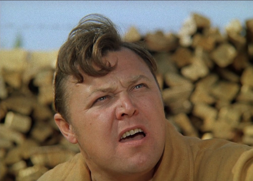 Слушайте, а может вам, сестра, замуж выйти? Только быстро!