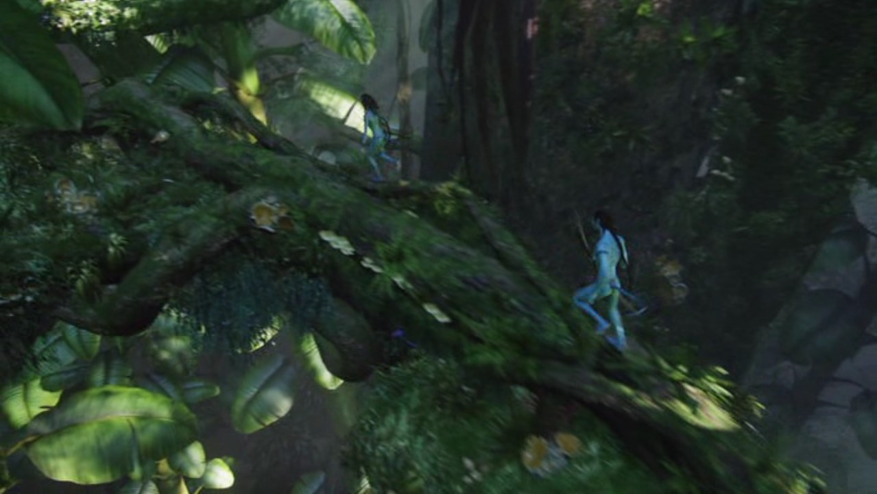 Доверяй телу, чтобы оно доверяло тебе...