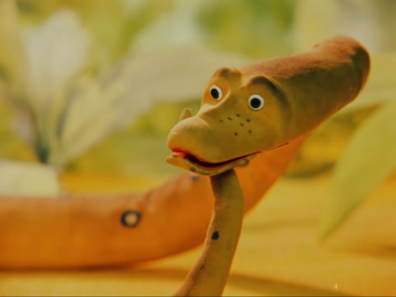 А в попугаях-то я гораздо длиннее!