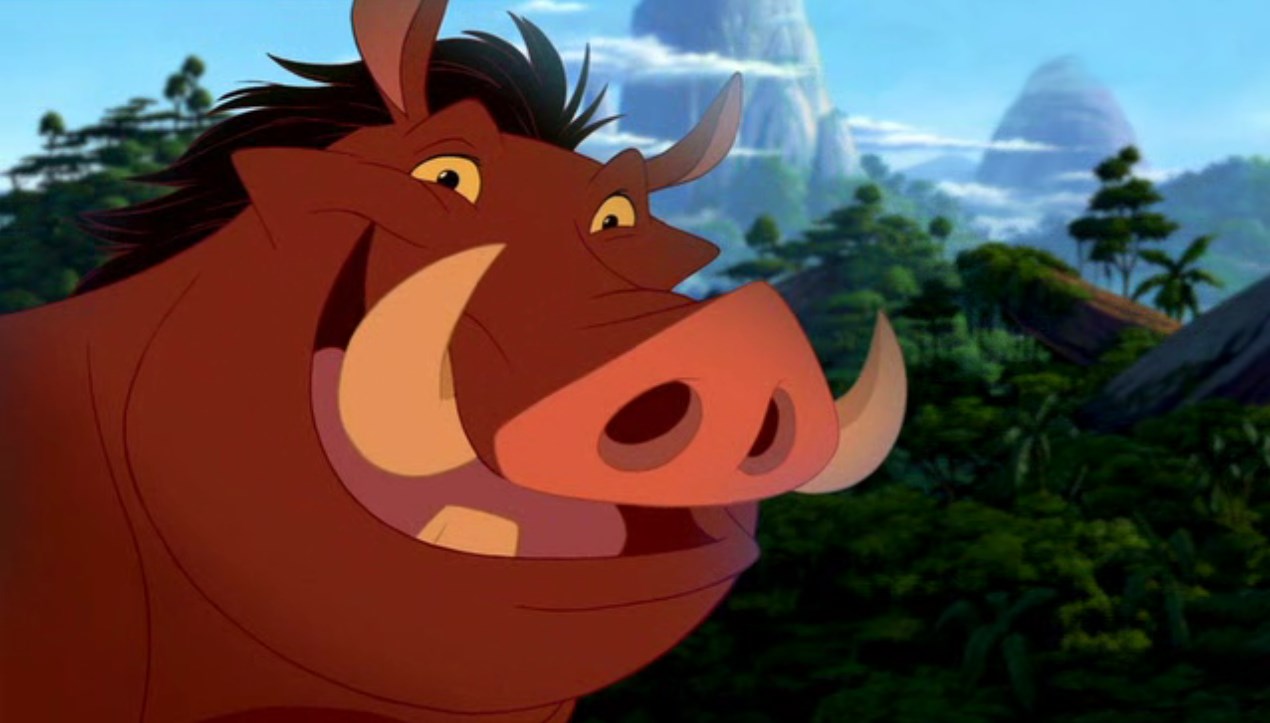 Где плюхнулся на полу — там и дом!