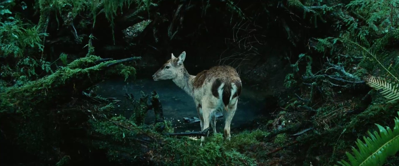 Раньше я мало думала о смерти... но, по-моему, отдать жизнь за любимого человека — не худшая смерть!