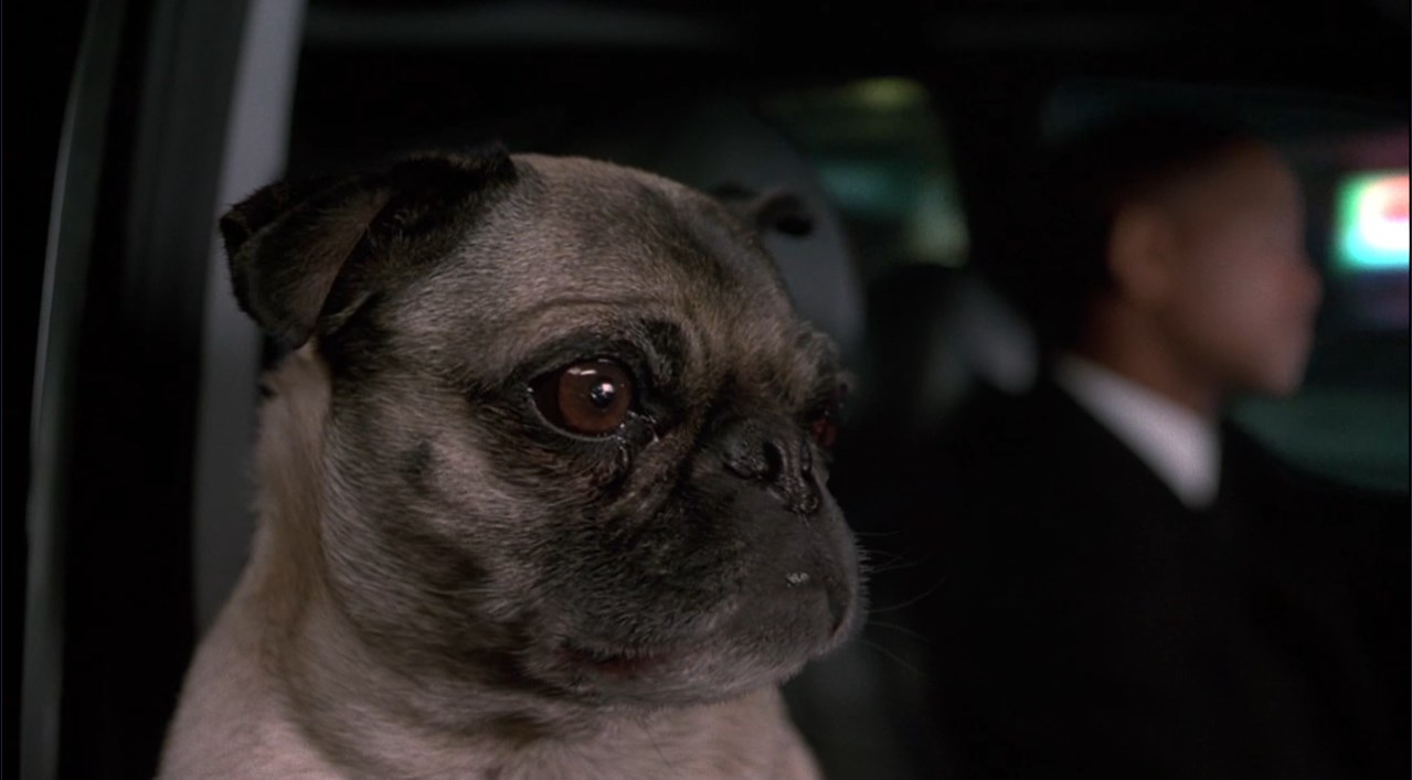 [Поёт]
Вчера вернулся я домой,
А в доме ты, словно ты с луны свалилась из небесной темноты...
Что же я не забрал ключи?
Не повесил большой замок?
Я тебя прогнать хотел, только слов найти не мог...
Давай уйди!
Скорей уйди!