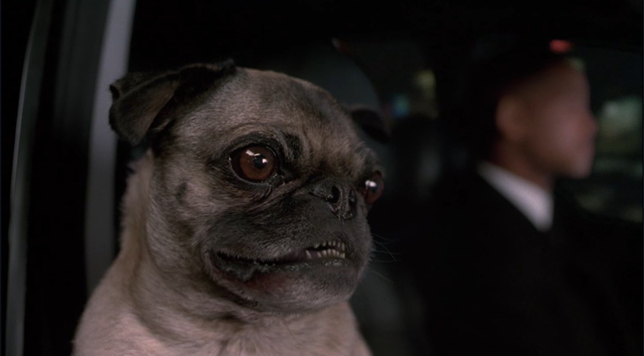 [Поёт]
Вчера вернулся я домой,
А в доме ты, словно ты с луны свалилась из небесной темноты...
Что же я не забрал ключи?
Не повесил большой замок?
Я тебя прогнать хотел, только слов найти не мог...
Давай уйди!
Скорей уйди!