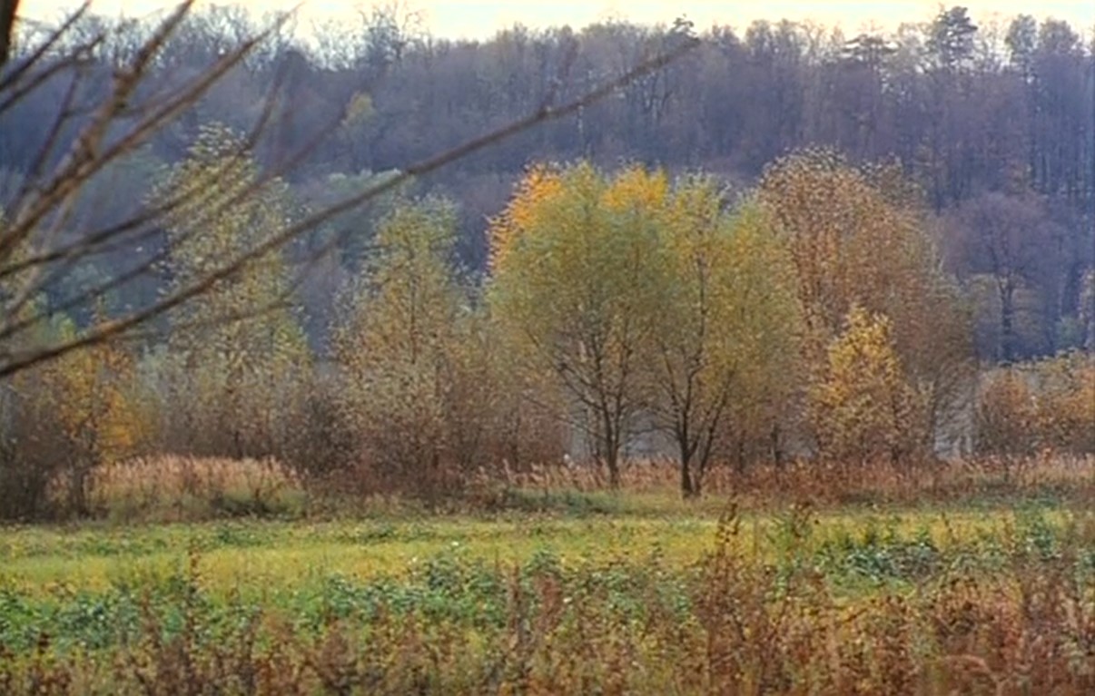 — Видишь суслика?
— Нет.
— И я не вижу. А он есть!