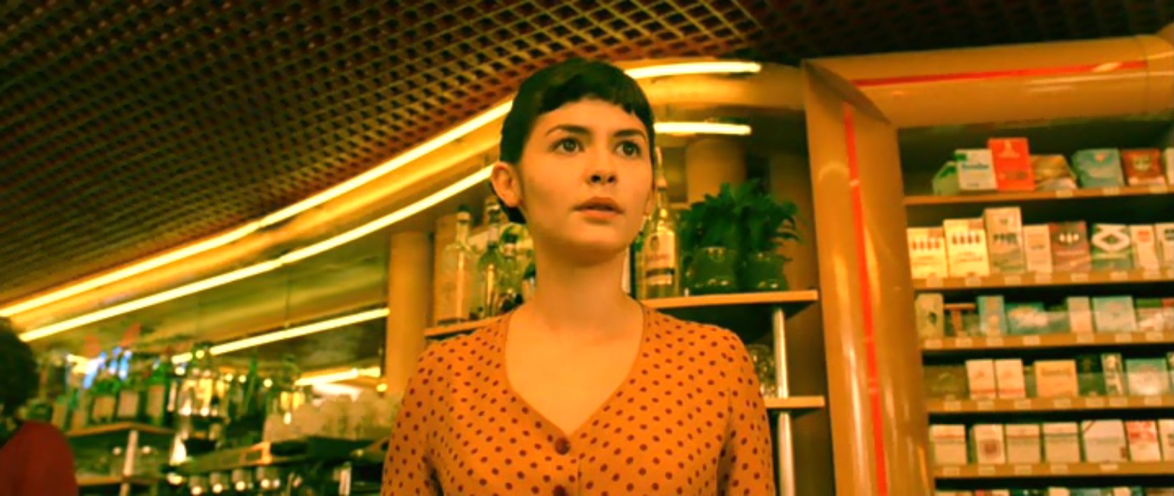 Нино опаздывает. По мнению Амели, для этого может быть только три причины:
1) Он не нашел снимок.
2) Не успел его склеить из-за того, что три бандита-рецидивиста решили ограбить банк и взяли его в заложники. За ними гналась полиция департамента, но им удалось уйти, а он в это время спровоцировал аварию. Когда он очнулся, то ничего не помнил. Его подобрал на дороге один дальнобойщик — бывший зек. Решив, что Нино в бегах, он спрятал его в контейнере и отвез в Стамбул. Там Нино подвернулись афганские террористы. Они предложили ему воровать с ними советские боеголовки. Грузовик подорвался на мине на Таджикской границе, он один остался в живых. Его приютили в горной деревне, и он стал боевиком моджахедом. И зачем тогда Амели так дергаться из-за парня, который будет до конца своих дней жрать борщ и носить на голове дурацкий горшок?
3)…