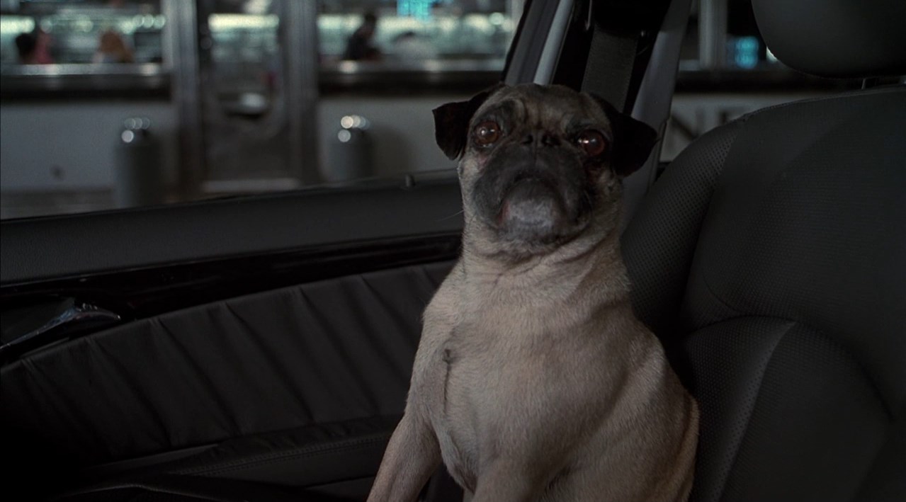 Я должен слушать наставления чувака, который вылизывает свой зад?