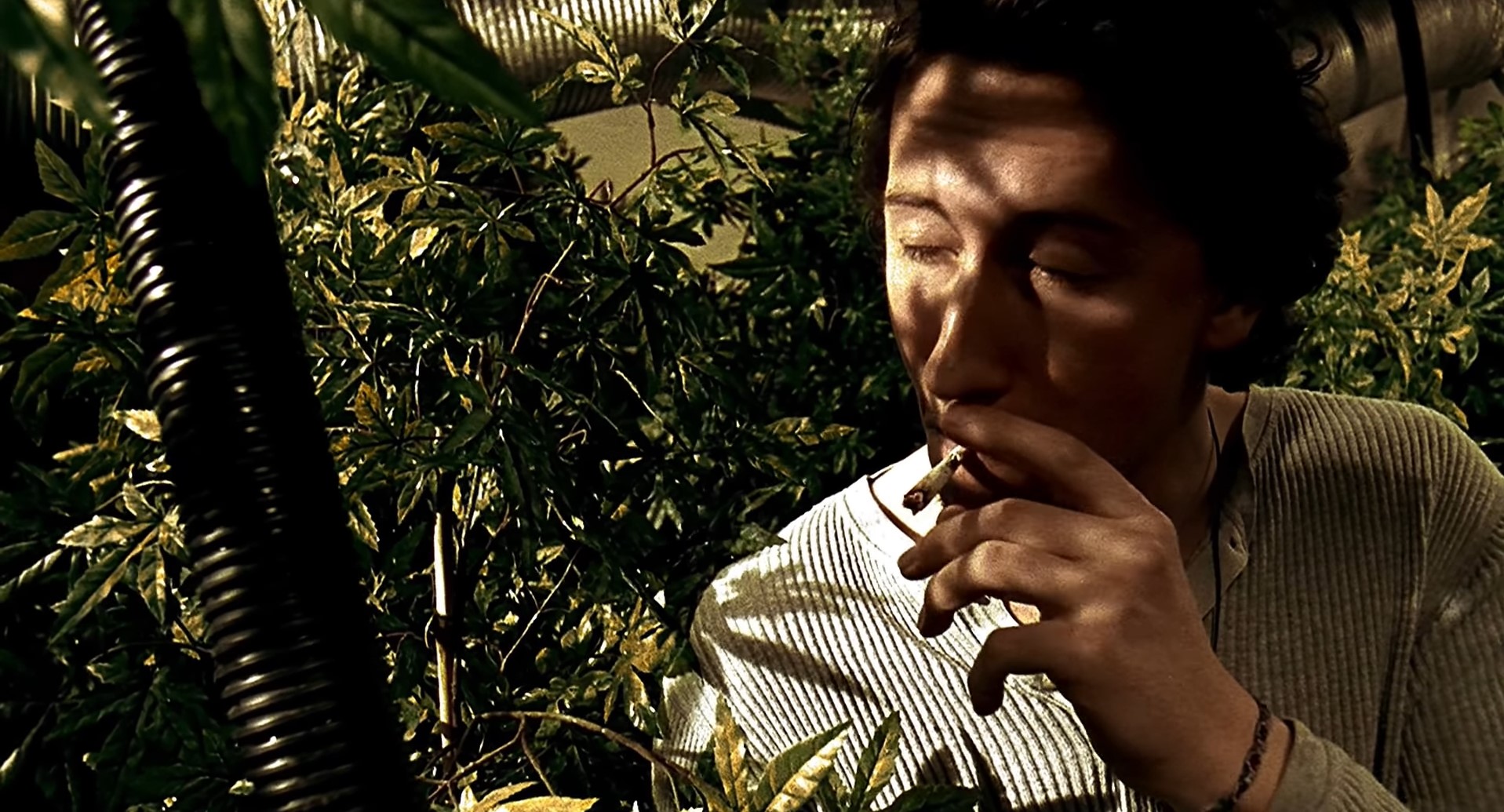 Ты столько куришь, что не понятно, как свой член находишь, когда хочешь поссать.