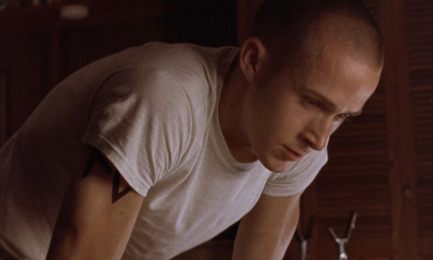 — Евреи любят все разделять: праведное от нечестивого, молоко от мяса, евреев от нееврев. Как будто маленькая частичка одного может заразить.
— Кто может заразиться: евреи или неевреи?
— Хороший вопрос.