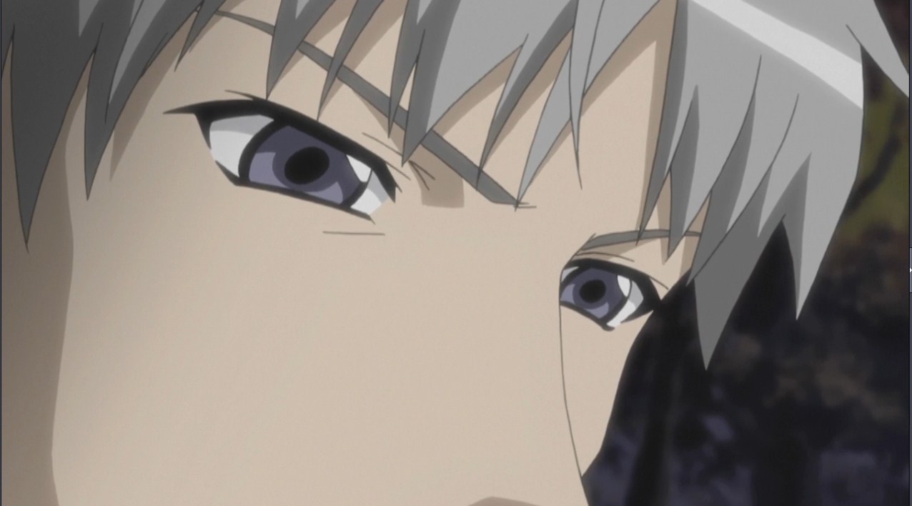 — Они были ужасны?
— Да... Со стаей диких собак ещё можно справиться, но волки неудержимы...