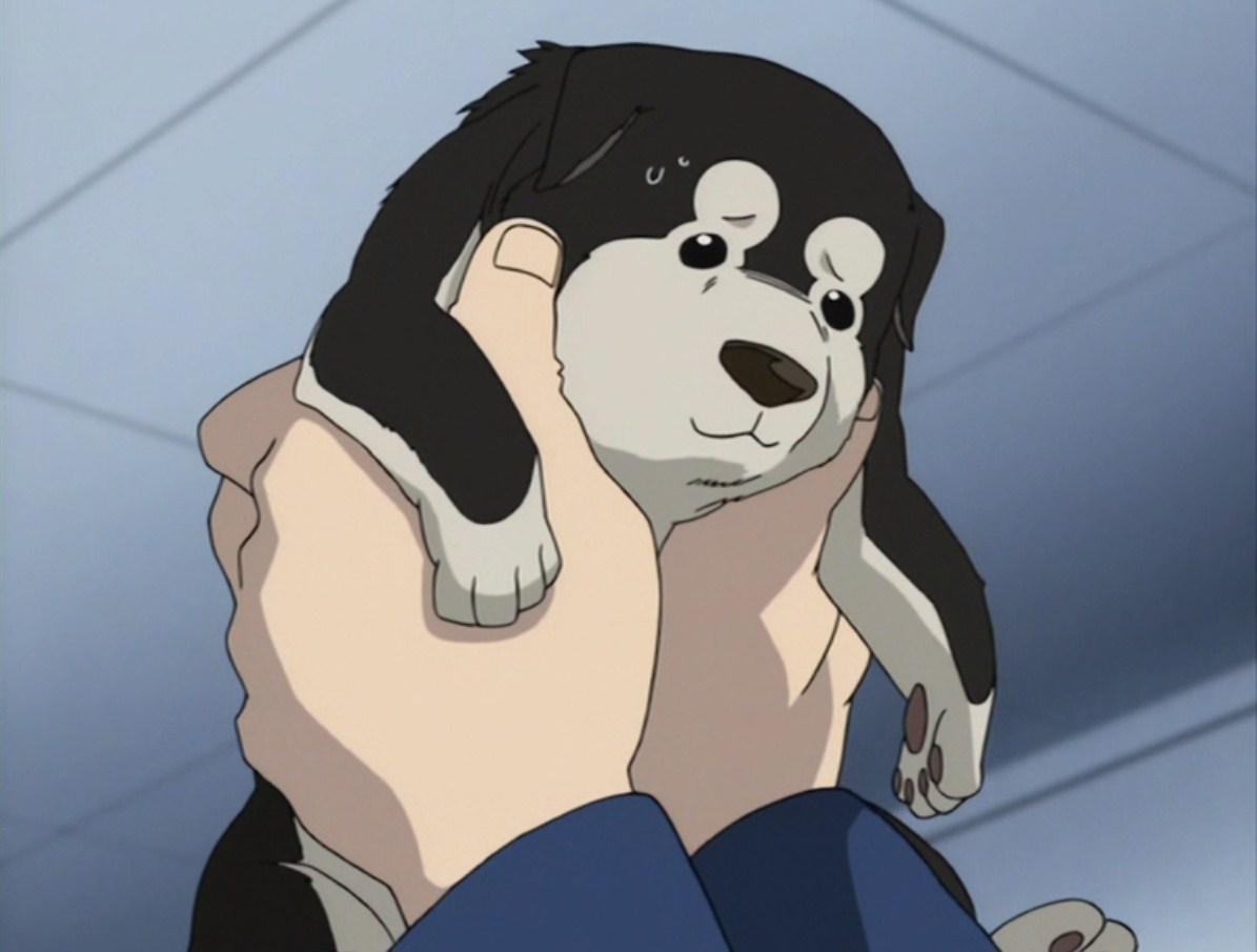 — Собака… Чудесно!
— Правда?
— Конечно! Они верны, беспрекословно подчиняются любому приказу хозяина, не жалуются, если ты жесток с ними, не требуют зарплаты. Короче, настоящий раб человека! Какая прелесть, обожаю собак!