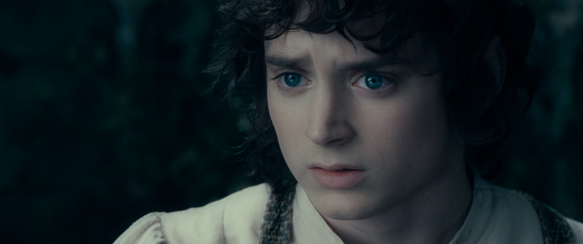 Галадриэль И слабейший из смертных может изменить ход будущего. (Даже самое маленькое создание может изменить будущее.) (Любой может изменить свое будущее, если захочет.)