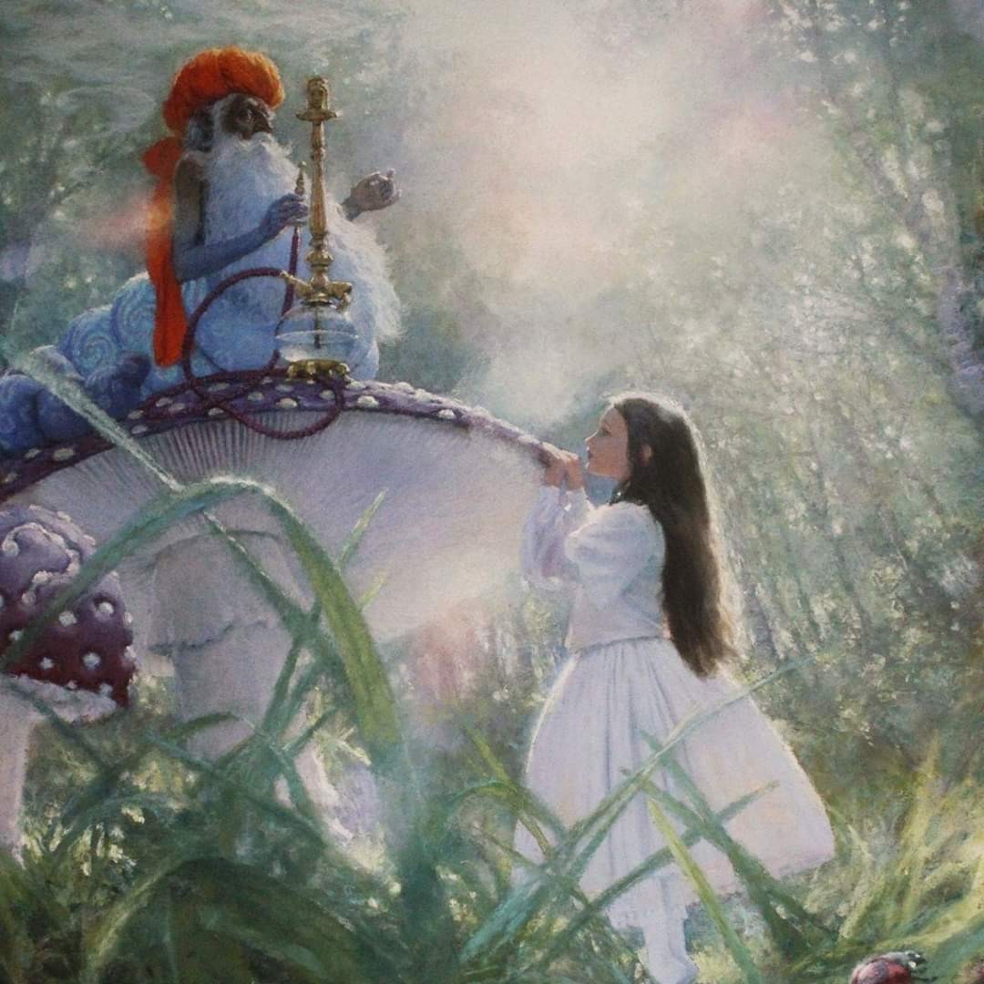 — Ты... кто... такая? — спросила Синяя Гусеница. 
— Сейчас, право, не знаю, сударыня, — отвечала Алиса робко. — Я знаю, кем я была сегодня утром, когда проснулась, но с тех пор я уже несколько раз менялась.
— Что это ты выдумываешь? — строго спросила Гусеница. — Да ты в своем уме?
— Не знаю, — отвечала Алиса. — Должно быть, в чужом.